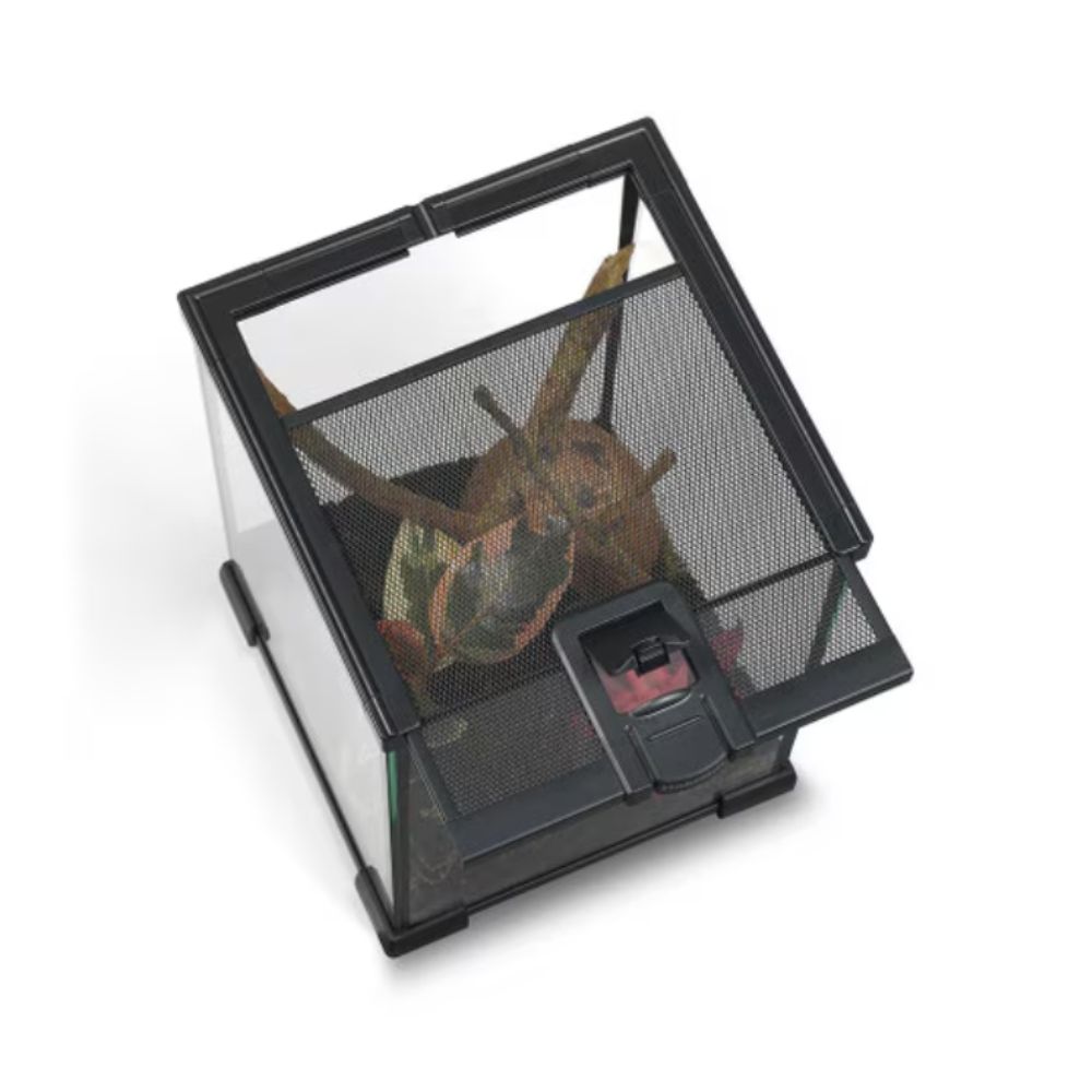 Terariu din sticla pentru reptile, HabiStat, 60x45x60 cm, ambalat plat