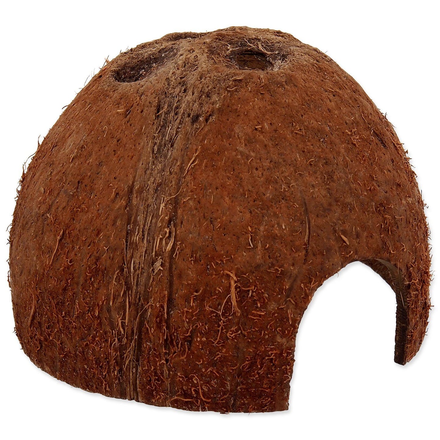 Decor din scoarta de nuca de cocos, Repti Planet Coco shell, S