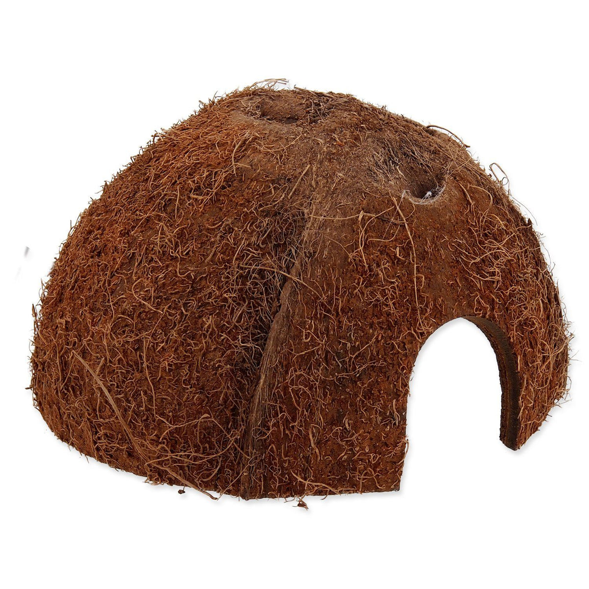 Decor din scoarta de nuca de cocos, Repti Planet Coco shell, M