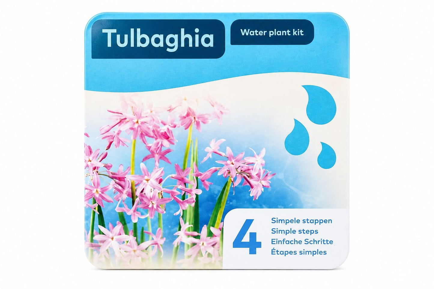 Kit complet Tulbaghia mov pentru iaz, Moerings