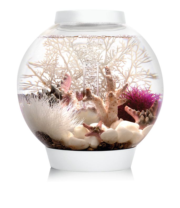 acvariu sferic Oase biOrb CLASSIC 15 LED alb cu decor marin