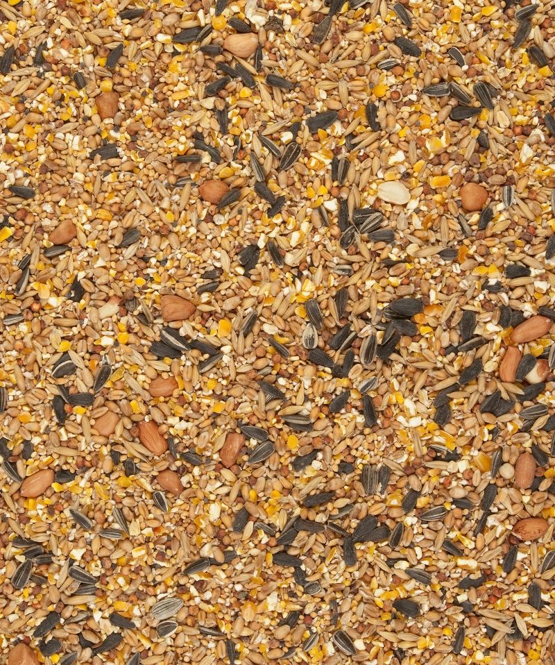 Mix de cereale, semințe si fructe cu coaja pentru pasari, Menu Nature Allround mix, 2.5 kg