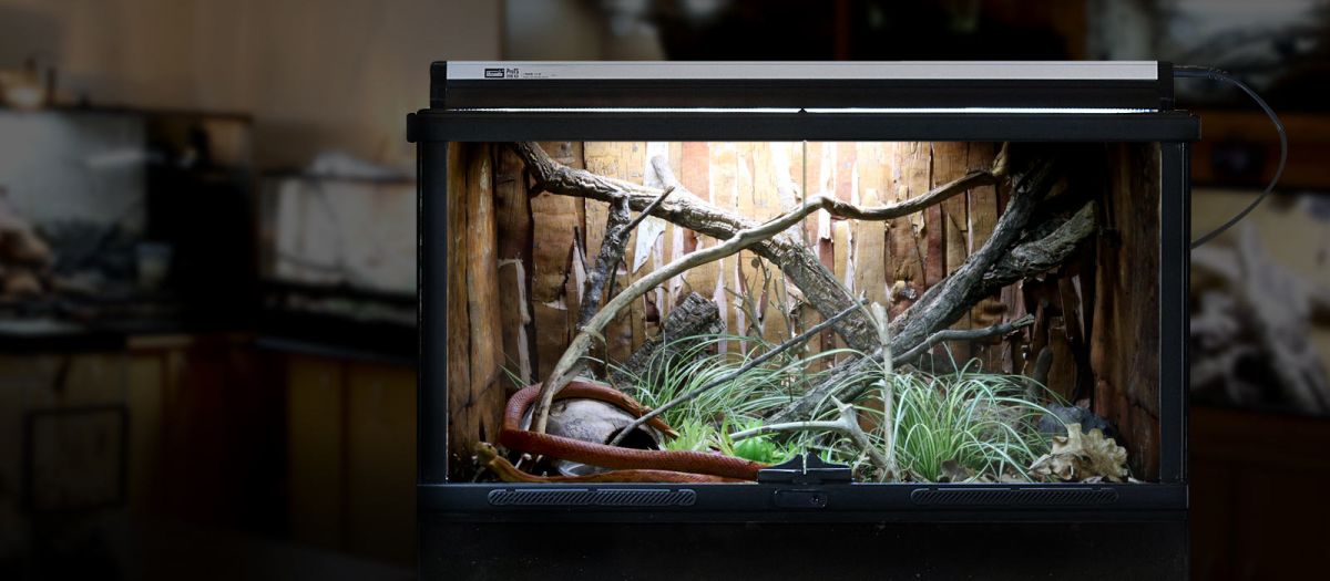 Arcadia Pro T5 UVB Kit lampa si neon terariu, Dragon, 14% UV-B, 54 Watt