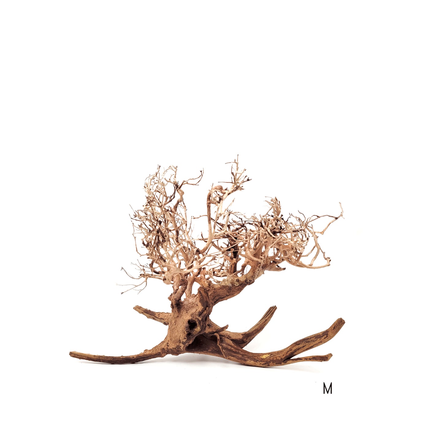 Arbust decorativ pentru acvarii i terarii, Wio, Arbu tu Arboretum M, L: 30-50 cm/H: 25-35 cm