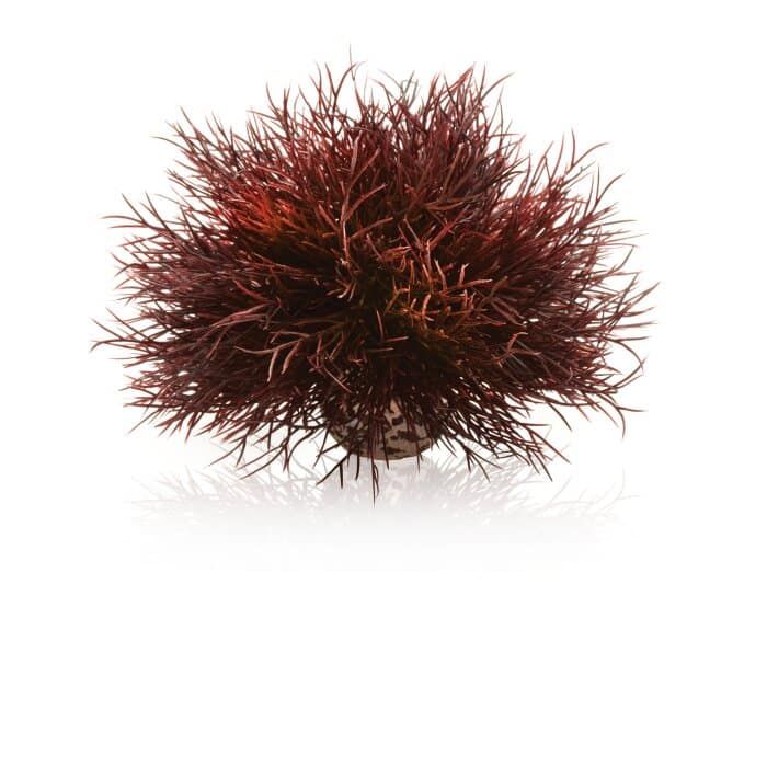 Decor artificial acvariu, Oa e biOrb Aquatic ea lily, 12 cm