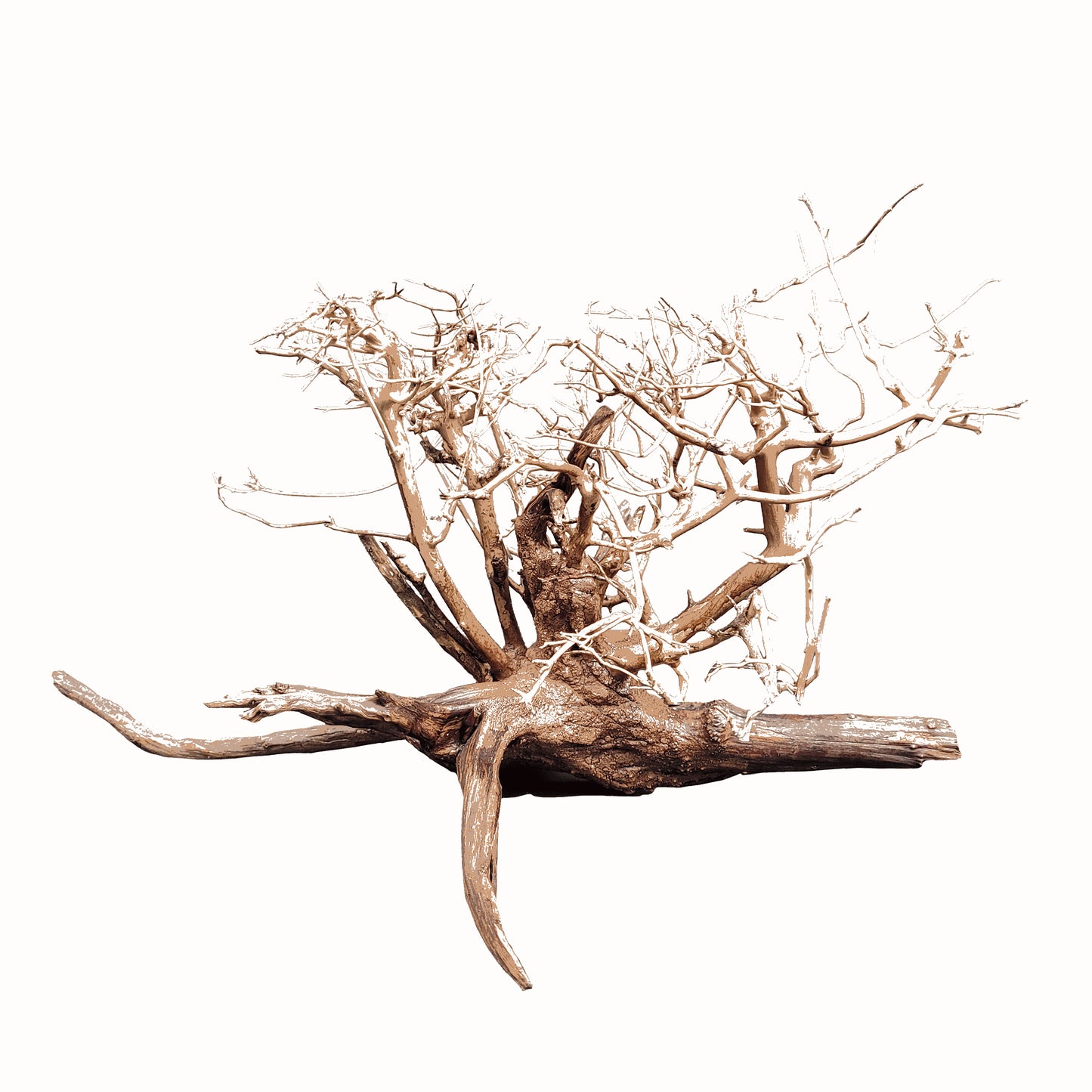 Arbust decorativ pentru acvarii i terarii, Wio, Arbu tu Arboretum M, L: 30-50 cm/H: 25-35 cm