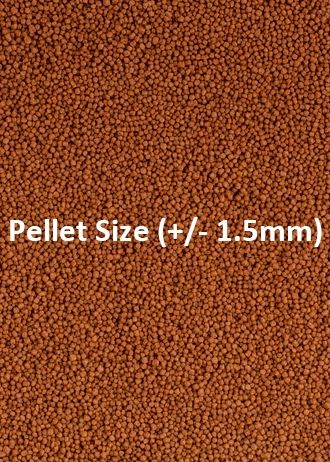 Hrană sub formă de granule pentru peștii Betta, Ocean Nutrition, Attison, 75g