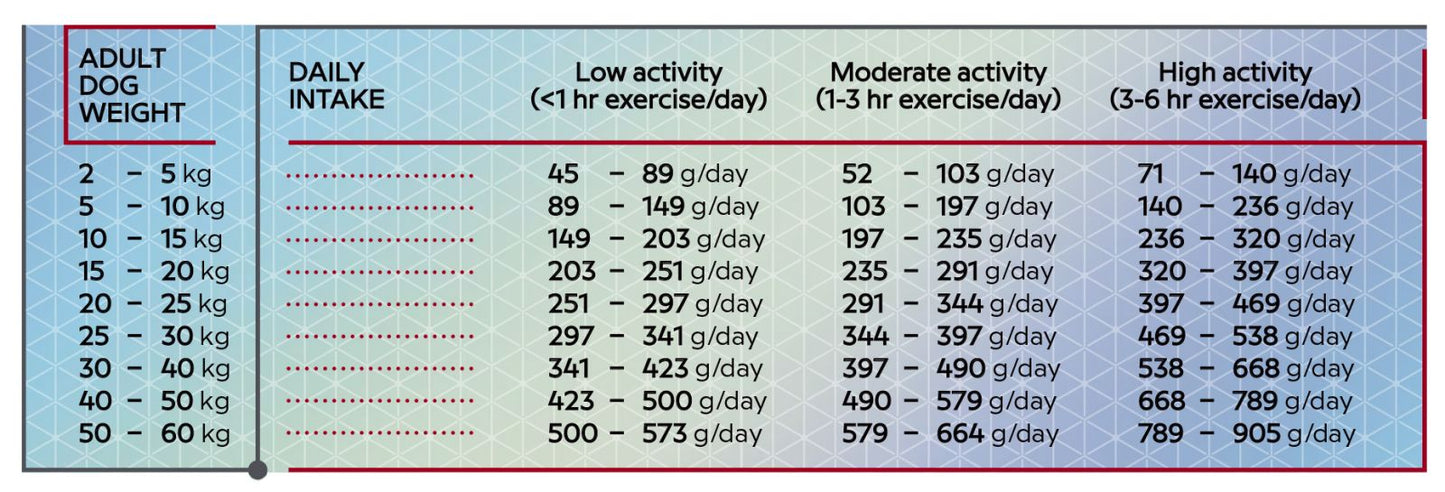 Hrana uscata pentru caini adult pe baza de somon, HiQ All Breed Adult Salmon, 2.8kg