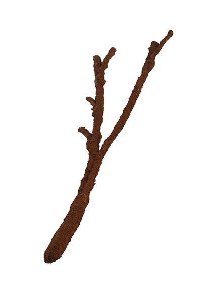 Decor terariu din fbra de nuca de cocos, Komodo Natural Tropical Vine Branch, Large