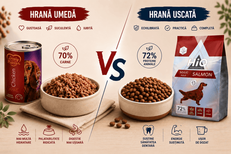 Comparatie intre hrana umeda pentru caini si hrana uscata pentru caini