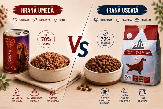 Comparatie intre hrana umeda pentru caini si hrana uscata pentru caini