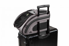 Custi transport auto pisici