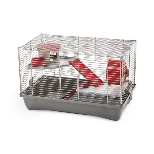 Custi, jucari, hrana pentru hamsteri