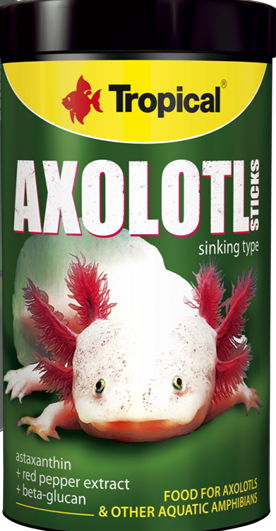 Hrana amfibieni