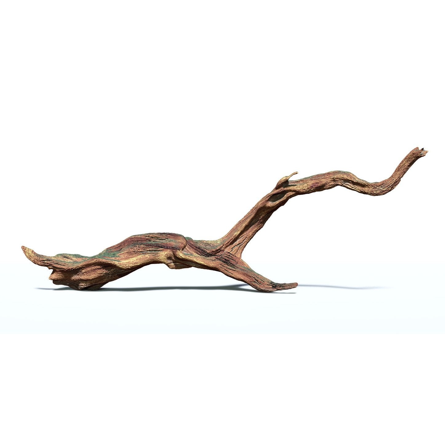 Lemn pentru decor Acvariu pesti driftwood endler.ro endler fish