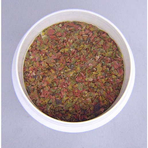 mANCARE PESTI ENDLER FISH ENDLER.RO MANCARE PREMIUM PENTRU GUPPY BETTA