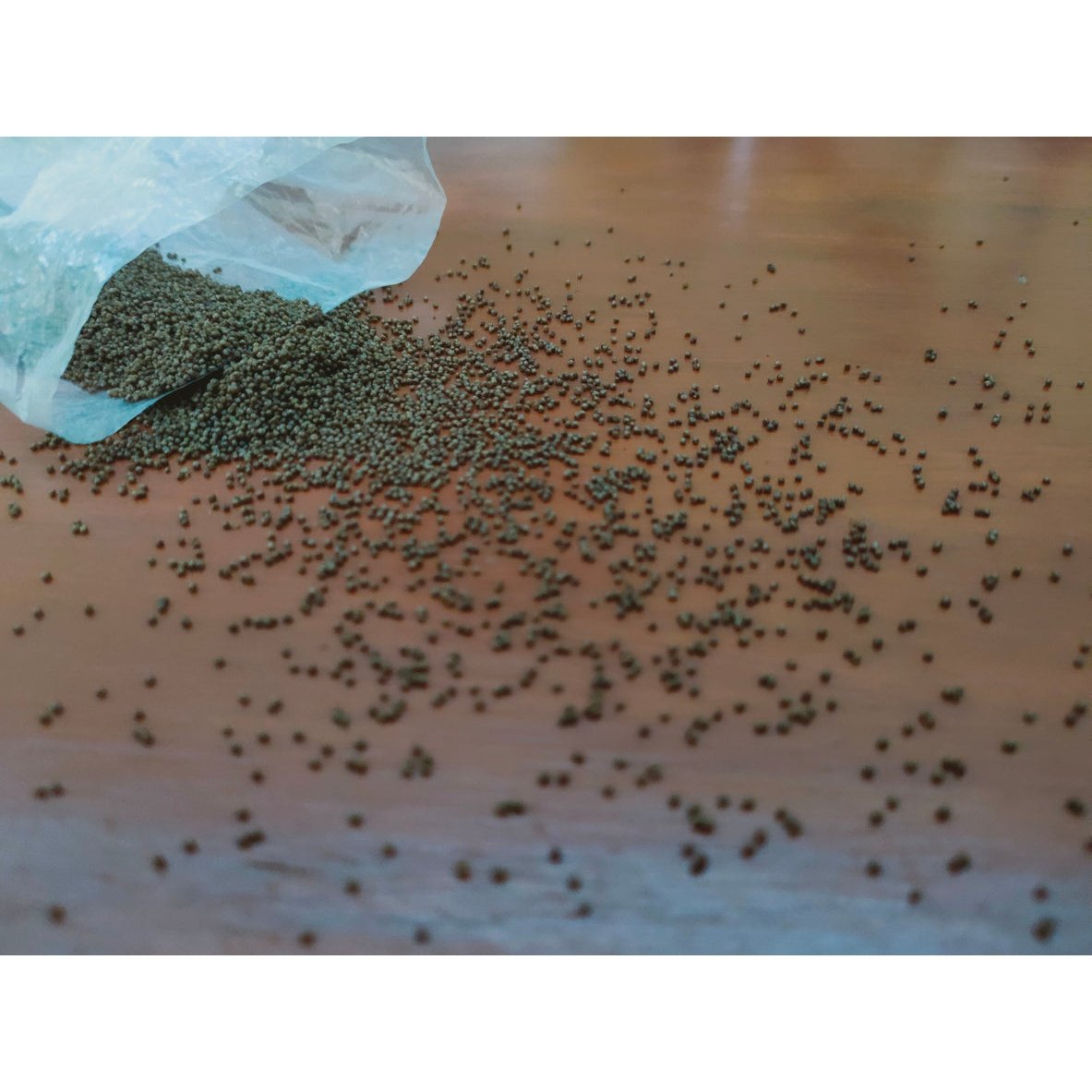 hrana pentru pesti de acvariu dimensiuni mici sera dennerle tropical 