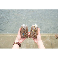 Hrana pentru Pesti de Dimensiune Mare