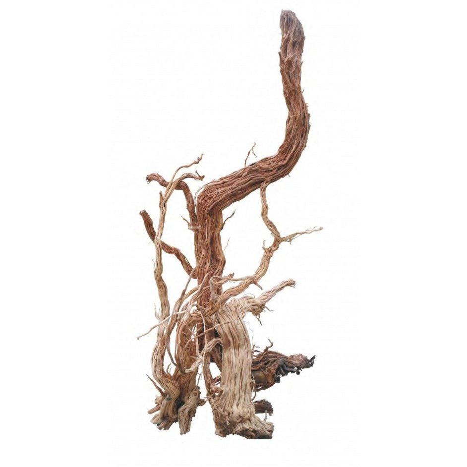 Decor Acvariu