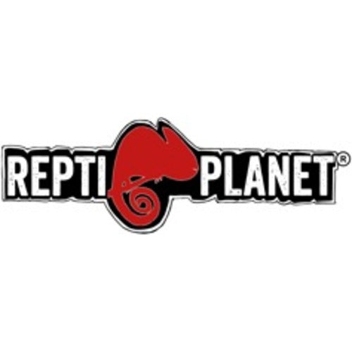 repti planet produse pentru reptile si terariu