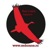 Red Crane