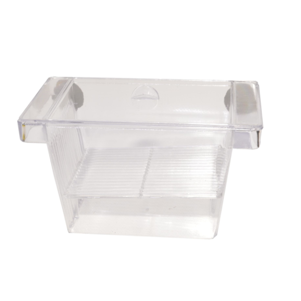 Accesori de Acvariu pentru Înmulțire și creșterea puilor de pești endler.ro endler fish