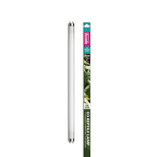 Neon terariu, Arcadia D3 T8 6% UVB Reptile Lamp Forest, 6% UVB 120 cm 36W