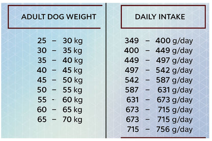 Hrana uscata pentru caini de talie mare, HiQ Maxi Adult Salmon, 11kg