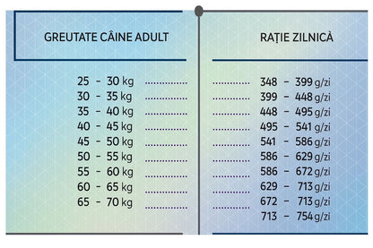 Hrana uscata pentru caini adult cu carne de miel, HiQ Maxi Adult Lamb, 2.8 kg