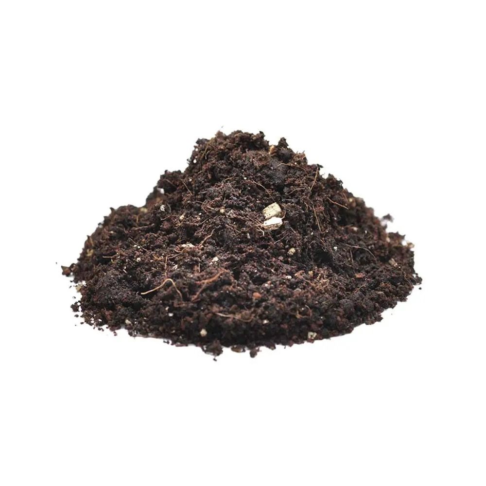 Substrat pentru paianjeni, Habistat Spider Bedding, 10 litri