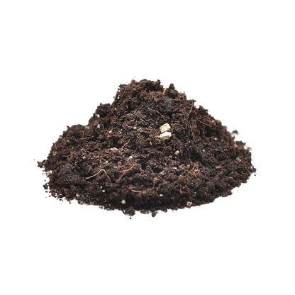 Substrat pentru paianjeni, Habistat Spider Bedding, 10 litri
