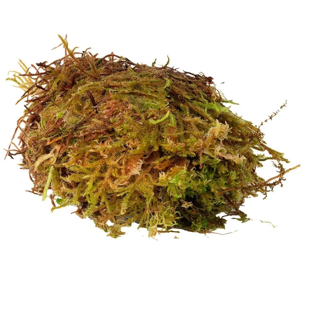 Muschi uscat sphagnum pentru terarii, HabiStat Sphagnum Moss, 1 kg