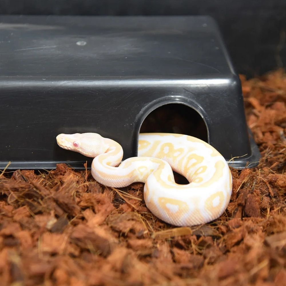 Substrat din fibre de nuca de cocos, grosier, HabiStat Coir Coarse Husk, 500 g