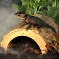 Decor trunchi de copac, HabiStat Forest Hideout, Medium, 17 x 14 x 8 cm