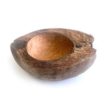 Bol nuca de cocos pentru terarii, HabiStat, Coco Bowl