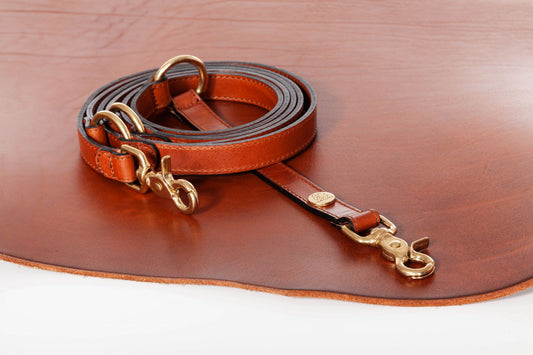 Lesa maro de piele pentru caini, EcoSkin Leas'H 210/2.0 cognac/steel, 210 x 2 cm