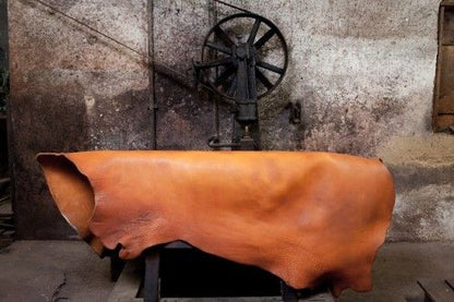 Lesa maro de piele pentru caini, EcoSkin Leas'H 210/2.0 cognac/steel, 210 x 2 cm