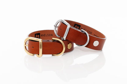 Zgarda maro de piele pentru caini, EcoSkin Coll'R 70/45 Cognac/metal, lungime 56-62/latime 4.5 cm