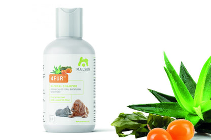 Sampon si balsam natural cu catina si alge marine pentru caini si pisici, 4Fur Shampoo, 250 ml