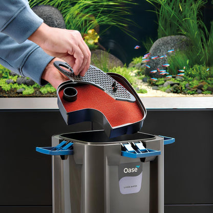 Filtru Extern Oase BioMaster 2, 850