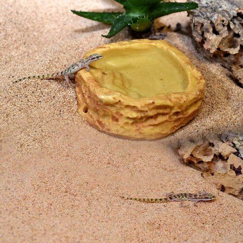 Recipient de apa pentru terarii, HabiStat Sandstone Water Dish, mic, 6.5 x 6 x 1.5 cm