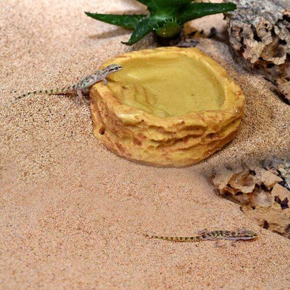 Recipient de apa pentru terarii, HabiStat Sandstone Water Dish, mic, 6.5 x 6 x 1.5 cm