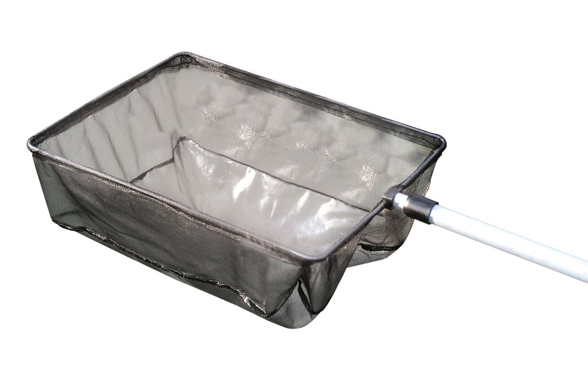 Minciog mare de iaz pentru alge, Oase