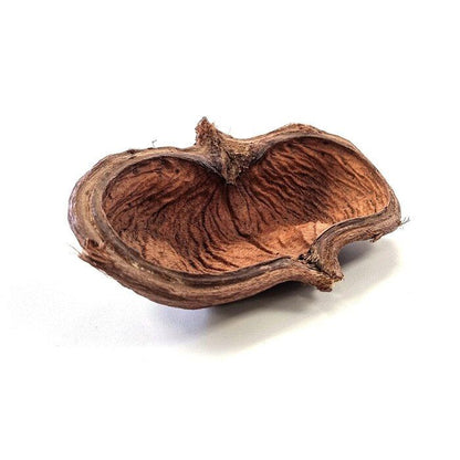 Decor sub forma de scoarta pentru terarii, HabiStat Sculta Pod, 11 x 14 x 6 cm