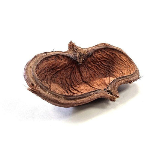 Decor sub forma de scoarta pentru terarii, HabiStat Sculta Pod, 11 x 14 x 6 cm