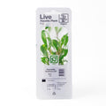 Planta naturala  de acvariu, Tropica, Hygrophila corymbosa Siamensis 53B, blister, 20 cm
