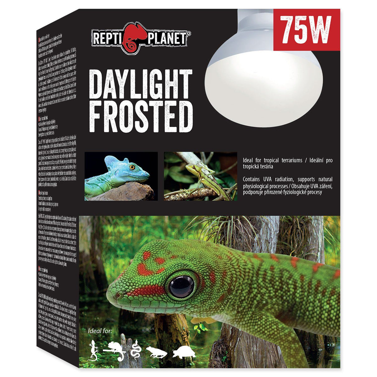 Bec de incalzire pentru reptile tropicale, Repti Planet Bulb Daylight Frosted 75W