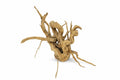 Decor acvariu lemn natural Geler Spider Wood Rhododendron, pret per kg