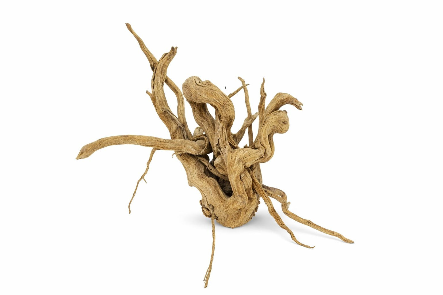 Decor acvariu lemn natural Geler Spider Wood Rhododendron, pret per kg