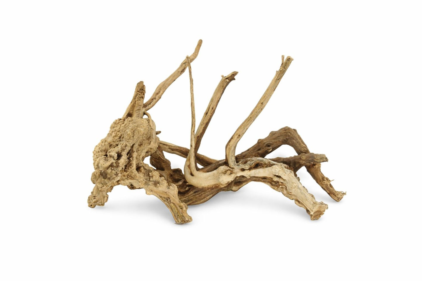 Decor acvariu lemn natural Geler Spider Wood Rhododendron, pret per kg